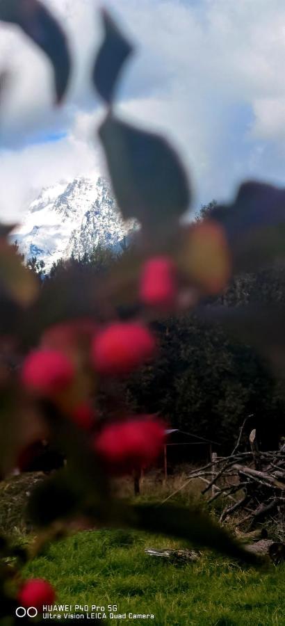 Mlyn Tatry Lägenhet Veľký Slavkov Exteriör bild