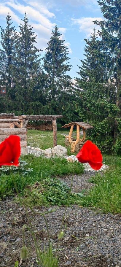 Mlyn Tatry Lägenhet Veľký Slavkov Exteriör bild